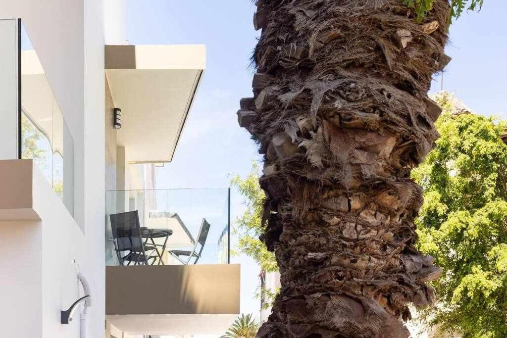 Sunny Island Martianez 3 Appartement